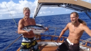 skipjack tuna, biggest fish we hoved aboard.